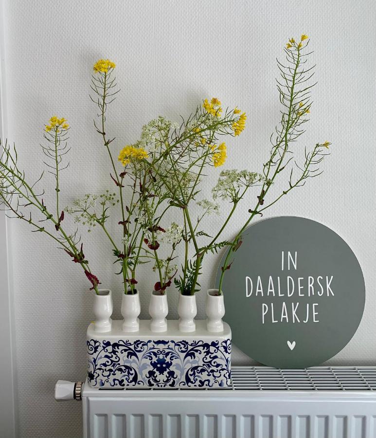 Daalders Plakkie Villa Elahuizen Ngoại thất bức ảnh